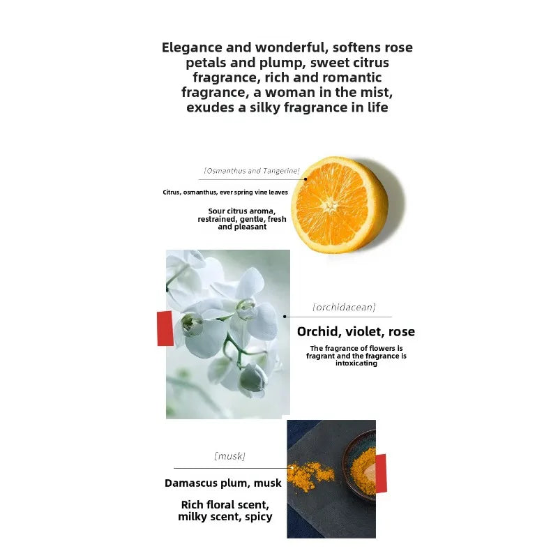 Blonde Bombshell Perfume 50ml Fresh Fruity Floral Fragrance with Elegant Floral Notes and A Touch of Musk for An Alluring Scent